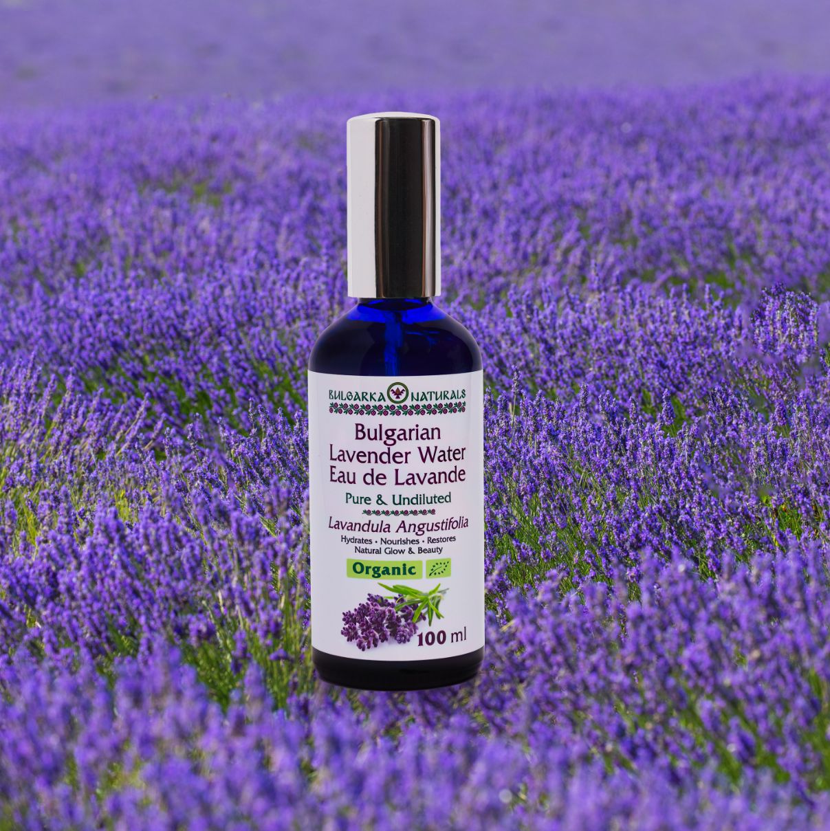 organic lavender water