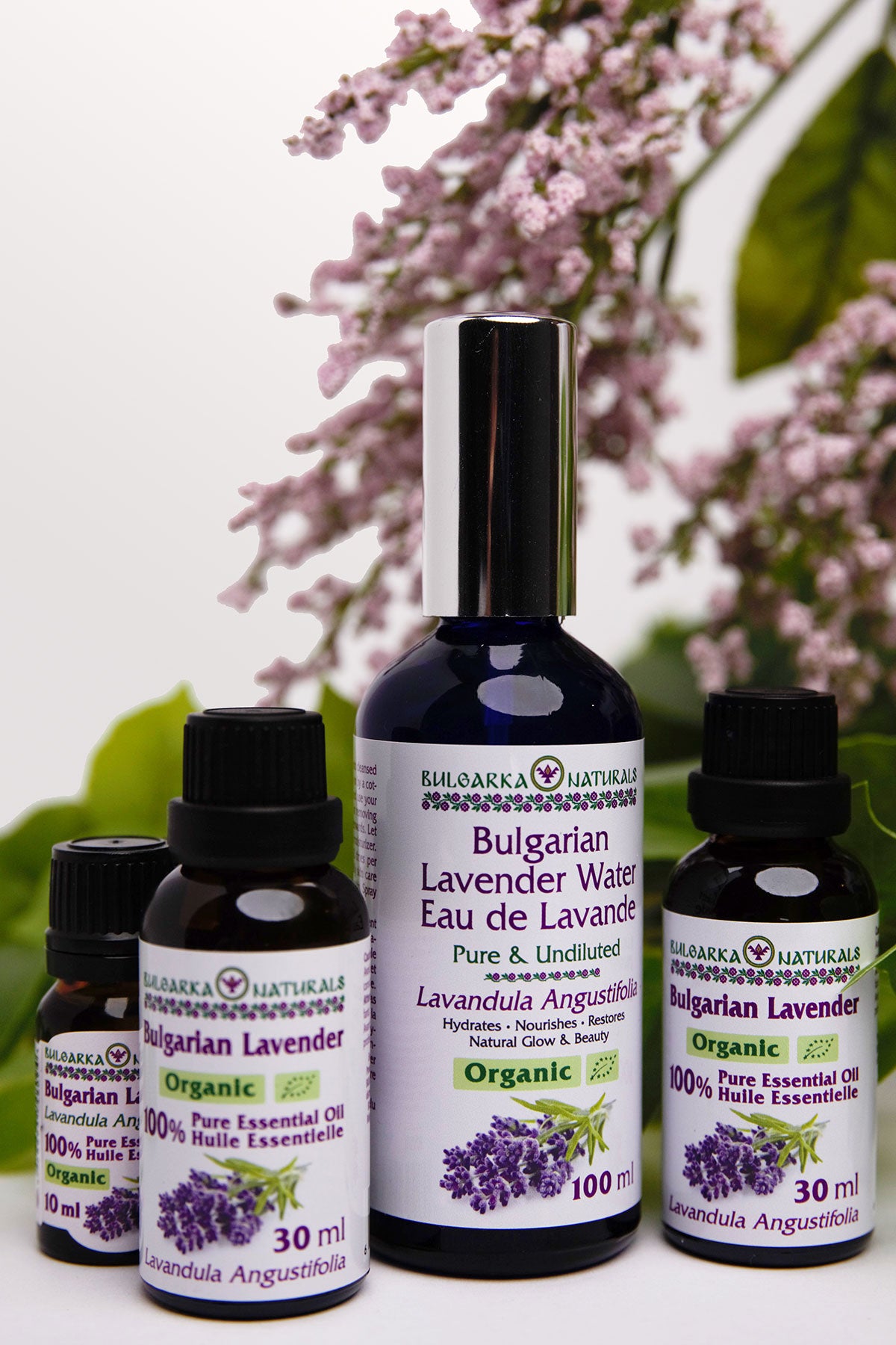 100% Pure Organic Bulgarian Lavender Essential Oil – 30 ml